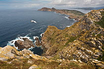 View from the top of O Faro (the lighthouse) Island, Parque Nacional de las Islas Atlantica (Atlantic Islands National Park). Spain, Galicia, July 2008.