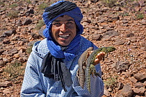 Bedouin man with two Moroccan Spiny-tailed Lizards (Uromastyx acanthinurus), Morocco, Sahara. March 2007.