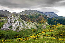 Summer in Somiedo National Reserve, Cantabrian Mountains, Asturias, Spain. July 2008.