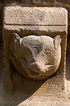 Medieval stone carving of a Brown Bear (Ursus arctos), Pedro de Teverga Church, Somiedo, Asturias, Spain. July 2008.