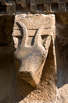 Medieval stone carving of a Chamois (Rupicapra sp.), Pedro de Teverga Church, Somiedo, Asturias, Spain. July 2008.