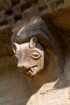 Medieval stone carving of a Wolf (Canis lupus), Pedro de Teverga Church, Somiedo, Asturias, Spain. July 2008.