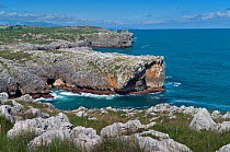 Karstic cliffs on the "Green Coast", Cantabria, Spain. July 2007.
