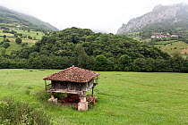 Horreo (granary on stilts, made of stone and wood), Asturias, Spain. July 2008.
