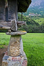 Stilt of horreo (granary on stilts, made of stone and wood), Asturias, Spain. July 2008.