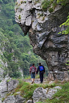 Hikers in Cares Gorge, Picos de Europa National Park, Cantabria, Spain. July 2008.