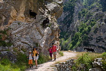 Hikers and goats in Cares Gorge, Picos de Europa National Park, Cantabria, Spain. July 2008.