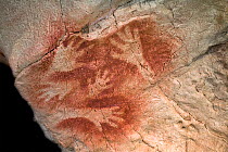 Prehistoric rock painting of human hands. La Fuente del Salin cave, Cantabria, Spain.