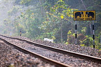 'Elephant crossing' sign near railroad track in the viscinity of Gibbon Wildlife Sanctuary, Assam, India