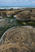 Rock structure exposed a low tide, Cte d'Opale, North West France