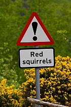 Road sign warning of Red squirrels crossing, Scotland, UK, May 2008