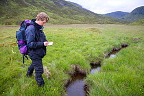 Researcher takes field notes on Upland water vole (Arvicola terrestris) as part of Cairngorms Water Vole Conservation Project, Scotland, UK, July 2008