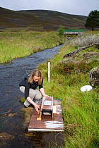Dr Rosalind Bryce setting up a mink raft to trap American mink {Mustela vion} as part of Cairngorms water vole conservation project, Scotland, UK, August 2008