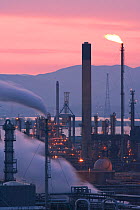 Grangemouth Oil Refinery at dusk, Grangemouth, Central Scotland, UK, May 2008