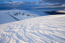 View over Glenfeshie at dawn in winter, Cairngorms NP, Scotland, November 2007
