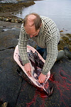 Hunter with recently shot Common seal (Phoca vitulina) Nord-Trondelag, Norway, April 2007