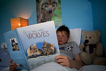 Boy reading wolf book in bed with wolf poster behind, Scotland, UK, model released