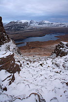 View from Stac Pollaidh over Loch Lurgainn towards Ben Mor Coigach, North-west Scotland Geopark, Sutherland, Highlands, Scotland, UK, November 2008