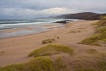 Seascape and coastal dune system at low tide looking north along Sandwood Bay, Sutherland, Scotland, UK, November 2008