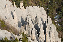 Eroded rocks from a glacial moraine, Salle du bal des demoiselles coiffees de Theus, Tallard, Alpes, France