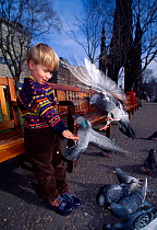 Child feeding feral pigeons / rock doves {Columba livia} Princes Street, Edinburgh, Scotland, UK, March, Model released