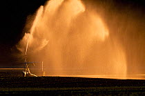 Water spray irrigating arable field, Berwickshire, Scotland, UK, May