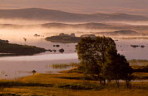 Rannoch Moor at dawn, Inverness-shire, Scotland, September