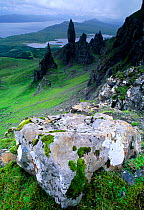 Pinnacles of Old Man of Storr, Isle of Skye, Scotland, June