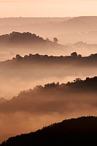 Hills surrounded by mist at dawn, Eype Down, near Bridport, Dorset, England, September 2006
