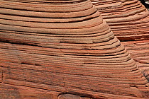 Sandstone rock formations showing layers of rock,  Zion National Park, Utah, USA