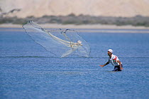 Fisherman throwing a traditional fishing net, Yiti, Oman, August 1999