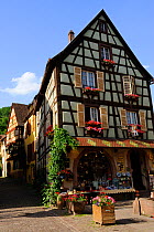 Traditional timber-frame houses with window boxes and floral tubs, Kaysersberg village, Upper Rhine, Alsace, France, May 2009
