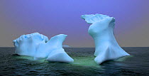 Human face shapes in icebergs, Antarctica (non-ex)