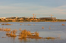 Building work by Lagoa dos Salgados (candidate IBA) Algarve, Portugal, March 2008
