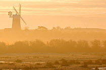 Grazing marshes at Holkham National Nature Reserve, looking towards Burnham Overy Mill, at dawn, Norfolk, UK, March 2009