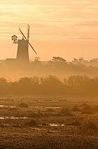 Grazing marshes at Holkham National Nature Reserve looking towards Burnham Overy mill at dawn, Norfolk, UK, March 2009