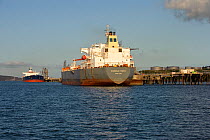Oil tankers unloading at Milford Haven terminal, Pembrokeshire, Wales, August 2008