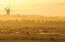 Dawn over grazing marshes at Burnham Norton, Holkham National Nature Reserve, looking towards Burnham Overy mill, Norfolk, UK, March 2009