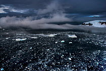 Aerial shot of brash ice, Patagonia Bay, Antarctica, February 2006