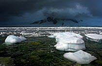 Brash ice in bay with dark clouds in the sky, Antarctica, February 2006