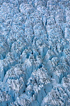 Aerial view of ice ridges near the front of Peters Glacier, South Georgia, Antarctica, December 2006