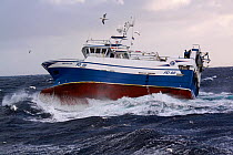 Fishing vessel "Harvester" in heavy swell, North Sea, October 2009. Property Released.