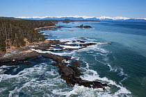 Aerial view of coastline near Sitka, sea covered in Pacific herring (Clupea pallasii) spawn, South East Alaska, USA, March 2007