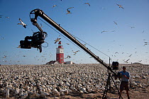 BBC camera crew filming Cape gannet (Morus capensis) colony using a Jimmy Jib, Bird Island, off the coast of the Eastern Cape, South Africa, January 2008