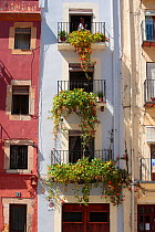Woman watering balcony plants on top floor of tall building, Old district of Tarragona, Catalonia, Spain. April 2008.