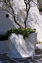 Courtyard of Salvador Dali's house-museum, Port Lligat, Cap de Creus Natural Park, Gerona, Catalonia, Spain. March 2009.