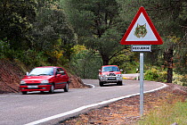 Road with a traffic warning sign for the conservation of Spanish lynx (Lynx pardina). Sierra de Andujar Natural Park, Jaen, Spain. 2009.