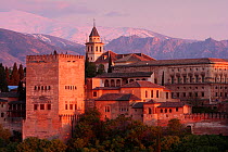Alhambra de Granada, Granada, Andalusia, Spain. April 2009.