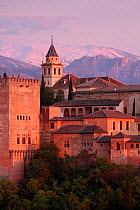 Alhambra de Granada, Granada, Andalusia, Spain. April 2009.