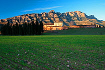 Montserrat mountain Natural Park, Catalonia, Spain. February 2009.